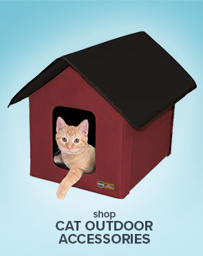 Cat Outdoor Accessories